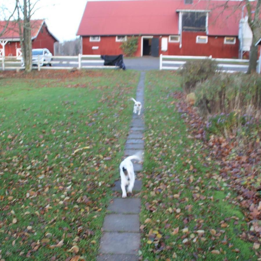 Strandnaera Stuga Vaenersnaes Vargon Exterior photo